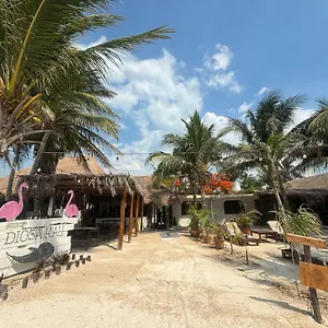 *** Hotel La Diosa Kali Front Mexique